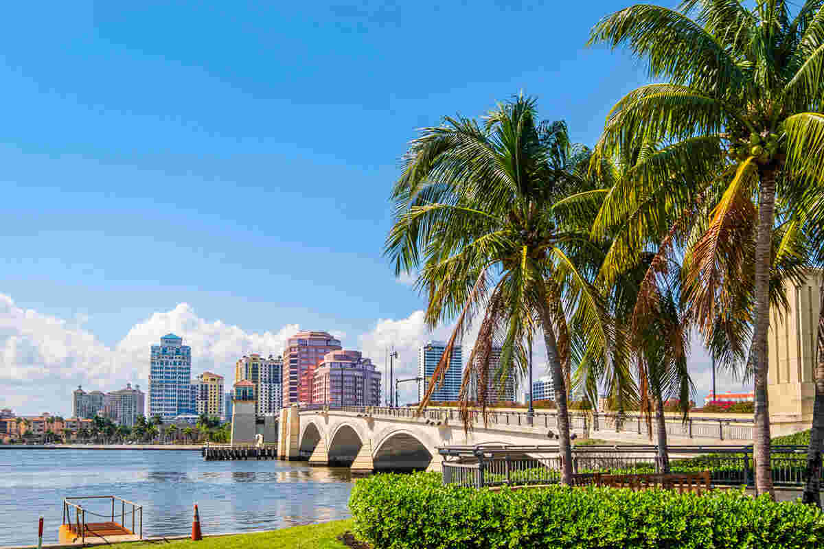A cityscape featuring a bridge over a body of water with palm trees in the foreground and tall buildings under a bright blue sky in the background. A cityscape featuring a bridge over a body of water with palm trees in the foreground and tall buildings under a bright blue sky in the background.
