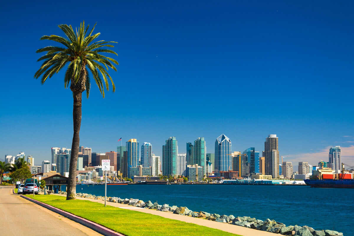 A coastal city skyline with high-rise buildings under a clear blue sky, bordered by a body of water with a visible shoreline, a lone palm tree, and a docked container ship.